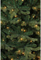 Triumph Tree Sherwood Deluxe Kunstkerstboom met LED Verlichting - H185 x Ø127 cm - Groen