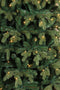 Triumph Tree Sherwood Kunstkerstboom Slim met LED Verlichting - H185 x Ø107 cm - Groen