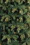 Triumph Tree Sherwood Kunstkerstboom Slim met LED Verlichting - H215 x Ø117 cm - Groen