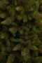 Triumph Tree Wyoming Kunstkerstboom - H215 x Ø145 cm - Groen