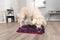 Trixie Activity - Snuffelmat voor Honden - Blauw Rood Wit - 50 x 34 cm