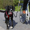 Trixie bikerset fietsbeugel - Fietsen met Hond - 1 stk