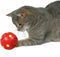Trixie cat activity voerbal kat 7 cm