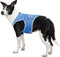 Trixie cooling vest pva blauw 40 cm
