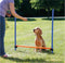 Trixie Dog Activity Agility Horde - Blauw/Oranje - 123 x 115 x 3 cm
