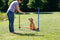 Trixie Dog Activity Agility Horde - Blauw/Oranje - 123 x 115 x 3 cm