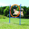Trixie Dog Activity Agility Ring - Blauw/Oranje - 65 x 3 x 115 cm