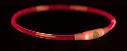 Trixie - Halsband Usb Flash Light Lichtgevend Oplaadbaar Tpu Blauw
