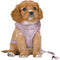 Trixie Hondentuig - Junior - Puppy Softtuig - Met Riem - Lila - 36-50X1 CM / 2 MTR