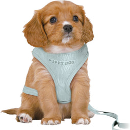 Trixie Hondentuig - Junior - Puppy Softtuig - Met Riem - Mintgroen - 36-50X1 CM / 2 MTR