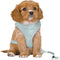 Trixie Hondentuig - Junior - Puppy Softtuig - Met Riem - Mintgroen - 36-50X1 CM / 2 MTR