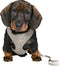 Trixie Junior Puppytuig Soft Met Riem Lichtgrijs 26-34X1 CM / 2 MTR