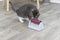 Trixie - Kattenspeeltje - Activiteitenspeelgoed - Snackrol Voor Katten - 19X12X11 cm