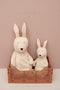 Trixie Knuffel - Mrs. Rabbit - Dieren Pluche - Konijn - Eerste knuffel voor Baby - 100% biologisch katoen - Klein