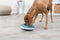 Trixie Slowfeeder Hond - Rocking Bowl - Kunststof - Grijs Blauw - 23 cm - 500 ml
