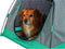 Trixie Tent Voor Honden Donkergrijs / Petrol