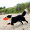 Trixie TPR Dog Disc ø 18 cm