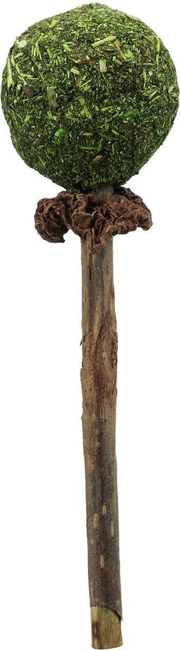 TRIXIE | Trixie Matatabi Lolly Met Catnip