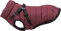 Trixie Winterjas Pirou Met Tuig Bordeaux - Hondenkleding - 27 cm