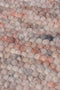 Carlotta 16 Vloerkleed - 130x200 - Rechthoek - Laagpolig,Structuur Tapijt - Landelijk - Grijs, Roze