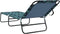 vidaXL - Opvouwbaar - Ligbed - Draagbaar - Bladerenpatroon - 600D - Oxford - Stof