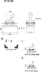 TRU COMPONENTS 1587681 TC-R13-36A2-05 Tuimelschakelaar 250 V/AC 3 A 1x uit/aan Continu 1 stuk(s)