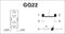 TRU COMPONENTS 701776 GQ22-11E/R/12V Vandalismebestendige druktoets 250 V/AC 5 A 1x aan/(aan) Moment Rood IP65 1 stuk(s