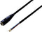 TRU COMPONENTS Laagspannings-aansluitkabel Laagspanningsbus - Open kabeleinde 5.50 mm 2.50 mm 30.00 cm 1 stuk(s)
