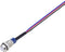TRU COMPONENTS Signaallamp RGB 12 V, 24 V 1 stuk(s)