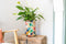 TS Collection - Bloempot hoog Sparkle spring - 21x24 - Metaal & Epoxy - Exclusieve woonitems voor binnen - Handgemaakt - Unieke print - Designed by Lammie