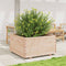 vidaXL - Plantenbak - 90x90x49,5 - cm - massief - grenenhout