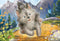 Puzzel little wolf and sloth 24 en 48