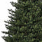Black Box Dunville Pine Kunstkerstboom - 215 x 140 cm - Groen