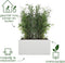 Elho Vivo Next Lang 80 - Plantenbak voor Binnen & Buiten - 100% Gerecycled Plastic - Wit - L 78.0 x H 37.9 cm
