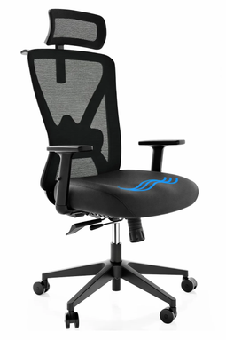 Backerz Ergonomische Bureaustoel - 44-56 cm Zithoogte - EN1335 Gecertificeerd - Zwart