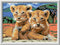 Ravensburger CreArt Little Lion Cube - Schilderen op nummer voor kinderen