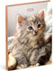 Lannoo Graphics - Diary 2024 - Agenda 2024 - MY FAVOURITE FRIENDS - Cat Hug - 7d/2p - 4Talig - 110 x 150 mm