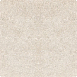 vidaXL - Shaggy - Vloerkleed - Hoog - Pols - Crème - 160x160 - cm - PP