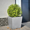 vidaXL - Plantenbak - 50x50x50 - cm - gegalvaniseerd - staal