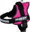 Julius K9 IDC Powertuig/Harnas - Baby 1/30-40cm - XXXS - Fuchsia