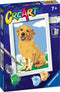 Ravensburger CreArt Friendly Retriever - Schilderen op nummer voor kinderen