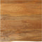 vidaXL - Tafelblad - met - natuurlijke - rand - 80x80x3,8 - cm - massief - mangohout