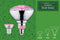 Paulmann Grow Green Edition - LED-reflector E14 R50 4W 100lm 1300K Zilver