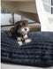 Designed by Lotte Reza - Hondenkussen - Dikke ribstof - Beige - 100x70x12 cm