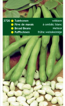 Tuinbonen Witkiem 250 gram