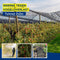 Tuinnet 2 x 5 m