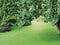 Tuinplanten grond aarde 40 liter