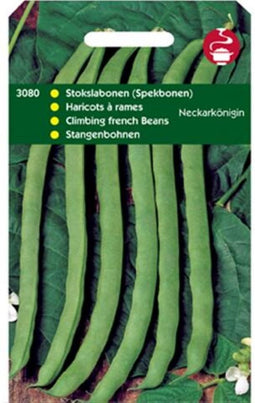 Tuinplus Stokspekbonen Neckarkonigin - Type Phenomeen - 2 Stokspekbonen - Zaad