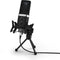 Hama Stream 900 HD - USB-microfoon - HD-geluid met popfilter - zwart