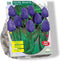 Tulipa Negrita, Triumph per 20